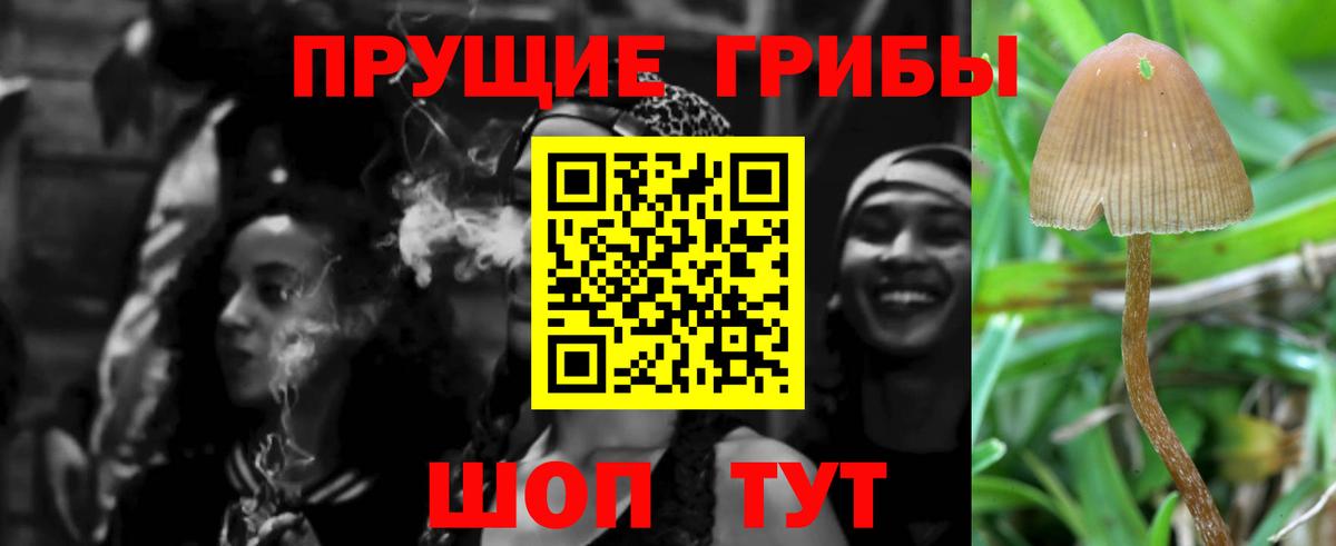 наркошоп  Галлюциногенные грибы прущие грибы  Гай  Вход с VPN  Галлюциногенные грибы Psilocybe 